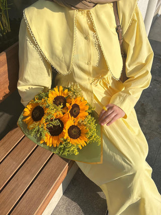 Akira Takım - Sarı